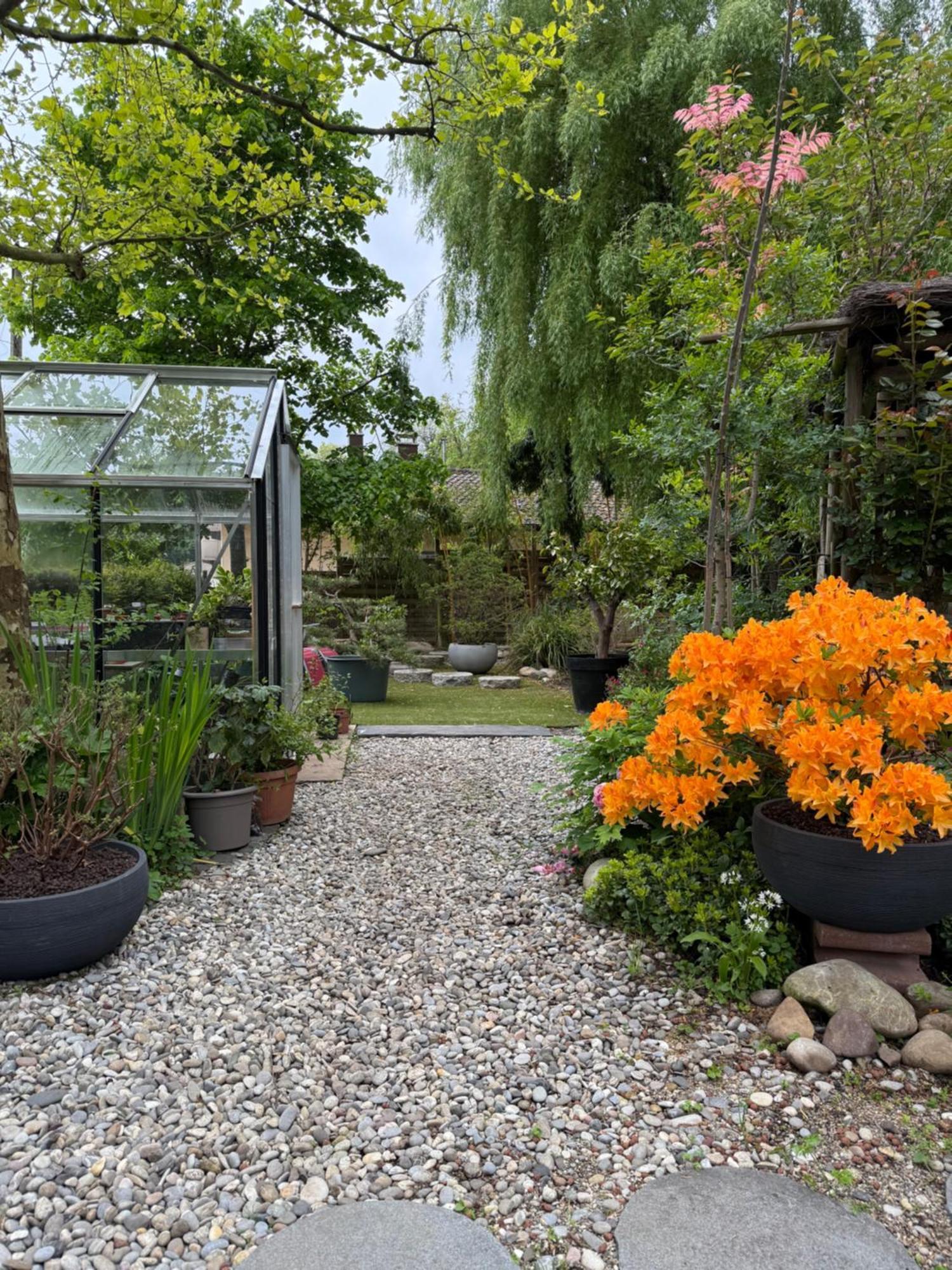Le Jardin De La Tuilerie Alsace Hotel Pfastatt Екстериор снимка