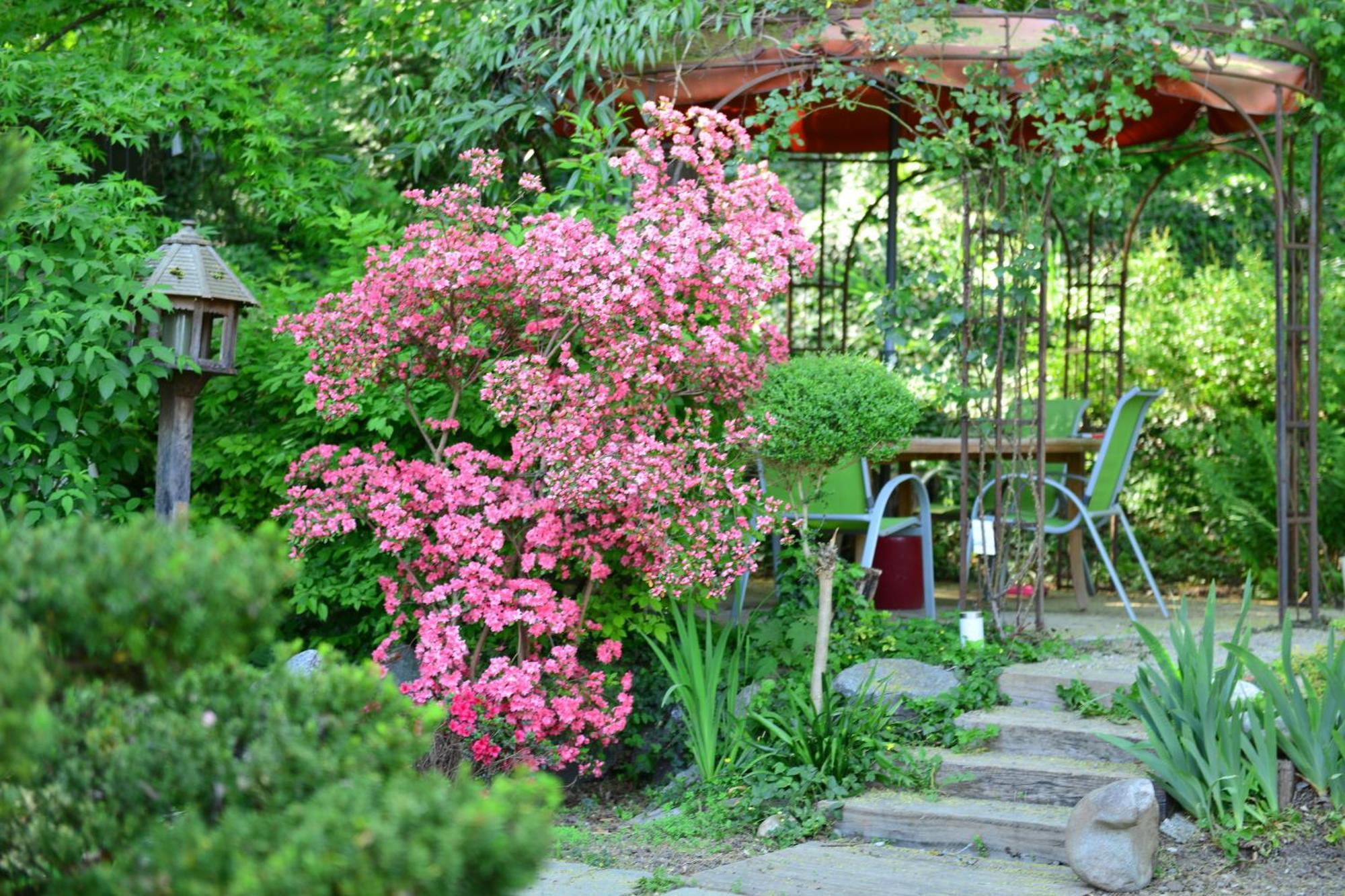 Le Jardin De La Tuilerie Alsace Hotel Pfastatt Екстериор снимка