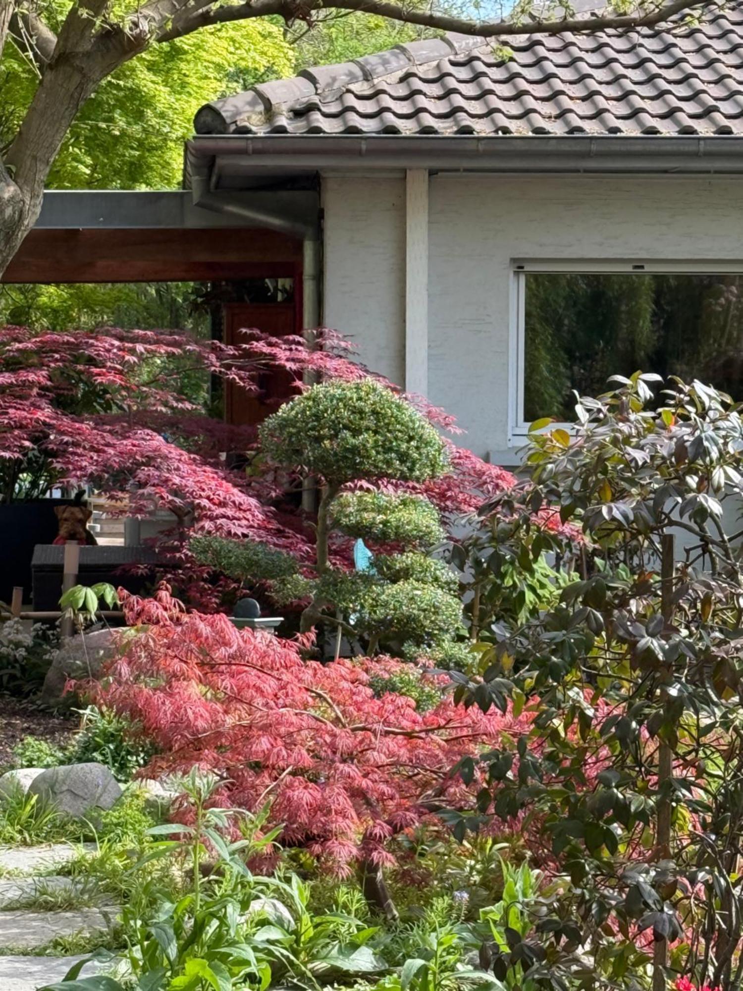 Le Jardin De La Tuilerie Alsace Hotel Pfastatt Екстериор снимка